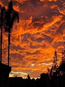 Merimbula Beach Apartments 외부 사진
